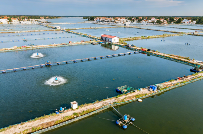 如何快速檢測(cè)水產(chǎn)品抗生素殘留？萊恩德LD-SK抗生素檢測(cè)儀操作指南